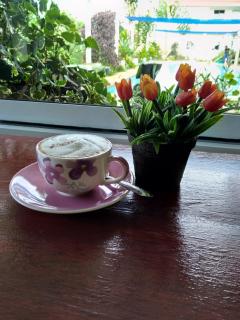 Peace Pool Resort - Khun Han - 4