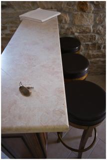 Apartments Villa Stapo - 1