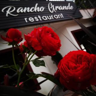 Rancho Grande Hotel - Villa General Belgrano - 5