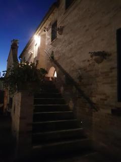 Il Vecchio Pioppo - 1