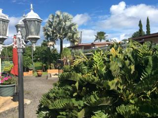 Mediteranean style Ohana Rental / Garden Bungalow in Pahoa - Honolulu Landing - 1