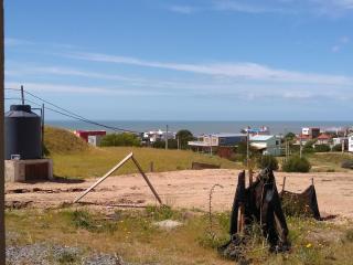 Estrella de la viuda - 5