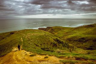 Te Hapu Coastal Cottages - Collingwood - 9