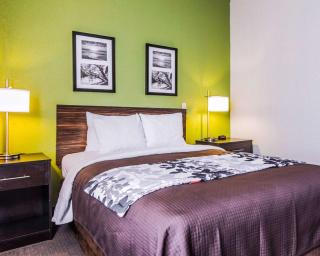 Sleep Inn Walterboro I-95 - Walterboro - 3