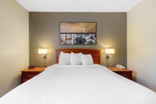 Suburban Studios Birmingham Homewood I-65 - Birmingham - 6