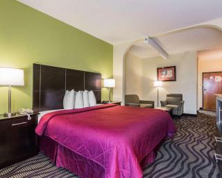Quality Inn & Suites North Montgomery - Montgomery - 6