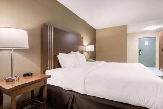 Quality Inn & Conference Centre - Orillia - 3