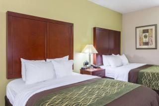 Comfort Inn Decatur Priceville - Decatur - 2