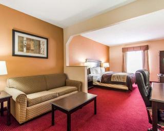 Comfort Inn & Suites - Lincoln - 9