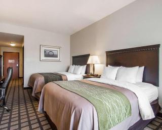 Comfort Inn & Suites Montgomery Eastchase - Montgomery - 5
