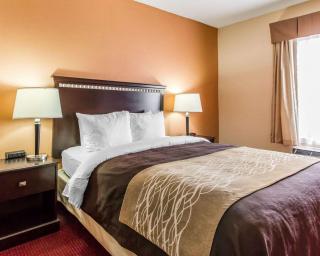 Comfort Inn & Suites - Lincoln - 8