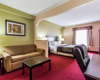 Comfort Inn & Suites - Lincoln - 7