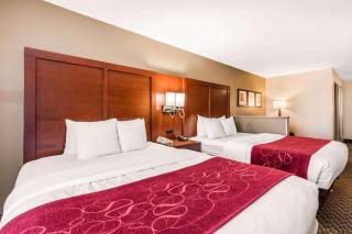 Comfort Suites Tuscaloosa near University - Tuscaloosa - 8