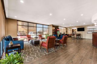 Comfort Suites Tuscaloosa near University - Tuscaloosa - 7