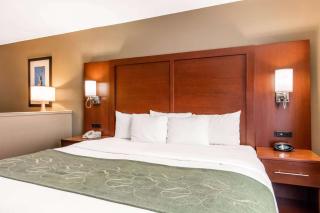 Comfort Suites Tuscaloosa near University - Tuscaloosa - 6