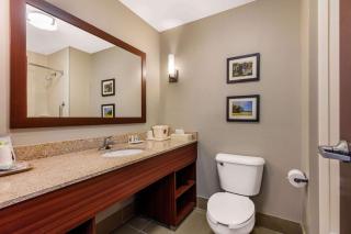 Comfort Suites Tuscaloosa near University - Tuscaloosa - 5