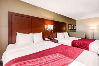 Comfort Suites Tuscaloosa near University - 4