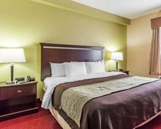 Comfort Inn & Suites - Lincoln - 6