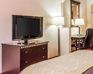 Comfort Inn & Suites - Lincoln - 5