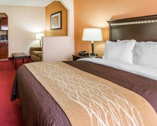Comfort Inn & Suites - 4