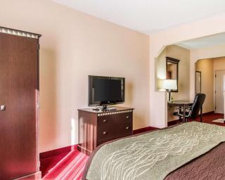Comfort Inn & Suites - Lincoln - 3