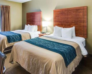 Comfort Inn & Suites El Dorado - El Dorado - 2