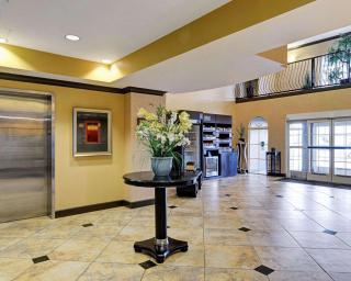 Comfort Suites Conway - 1