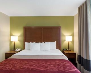 Comfort Inn & Suites Fayetteville-University Area - Fayetteville - 8