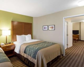 Comfort Inn & Suites Fayetteville-University Area - Fayetteville - 6