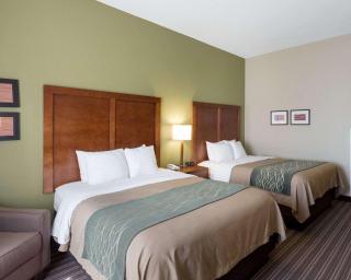 Comfort Inn & Suites Fayetteville-University Area - Fayetteville - 4