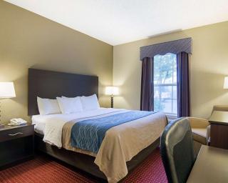 Quality Inn & Suites Little Rock West - 9