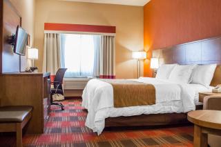 Comfort Inn Flagstaff Lucky Lane I-40 - 6