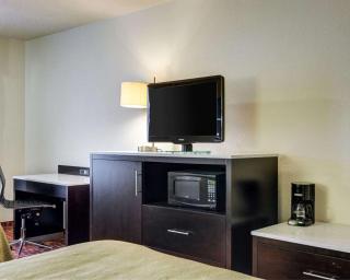 Quality Inn Fort Smith I-540 - Fort Smith - 7