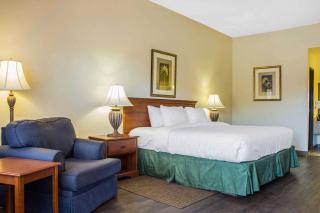 Quality Inn Benson I-10 Exit 304 - Benson - 9
