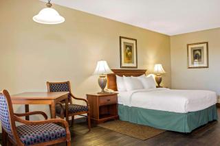 Quality Inn Benson I-10 Exit 304 - Benson - 7