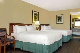 Quality Inn Benson I-10 Exit 304 - Benson - 6
