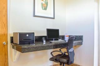 Quality Inn Benson I-10 Exit 304 - Benson - 4