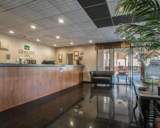 Quality Inn Temecula Valley Wine Country - Temecula - 7