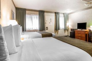 Quality Inn & Suites Silicon Valley - Santa Clara - 3