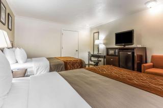 Comfort Inn - Santa Cruz - 2