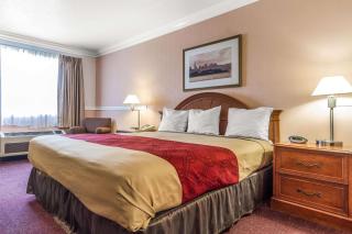 Econo Lodge Castro Valley I-580 - Castro Valley - 5