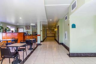 Rodeway Inn & Suites - Hayward - 2