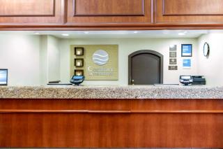 Comfort Inn & Suites San Francisco Airport North - South San Francisco - 6