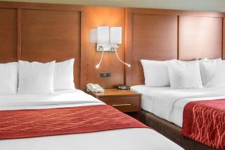 Comfort Inn & Suites San Francisco Airport North - South San Francisco - 2