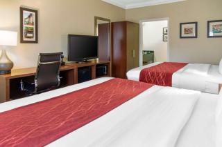 Comfort Inn & Suites San Francisco Airport North - South San Francisco - 4