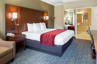Comfort Inn & Suites San Francisco Airport North - South San Francisco - 1