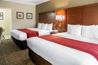 Comfort Inn & Suites San Francisco Airport North - South San Francisco - 3