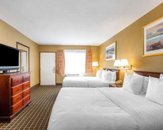 Quality Inn & Suites Westminster Seal Beach - 7