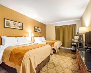 Comfort Inn Kirkland Lake - Kirkland Lake - 9
