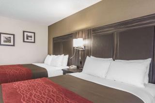 Comfort Inn Trenton - Trenton - 5